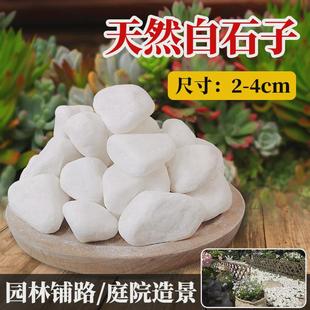 天然白石子庭院铺路鹅卵石石子白色颗粒小白石头阳台造景景观砾石