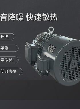 衡水电机厂家变频销售yvf2-2极3kw-90kw大量三相异步电机