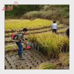 割草机小型家用收割机大功率打草机草稻谷水稻小麦玉米油菜四冲程