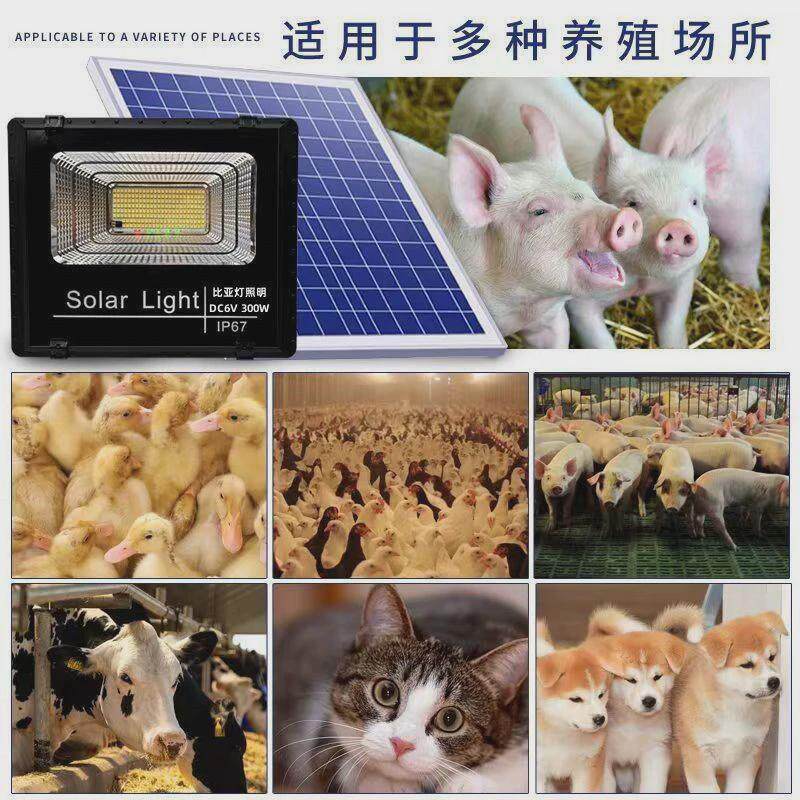 自动温控器加温灯芦丁鸡小鸡太阳能养殖场育雏灯控温保温加热包邮