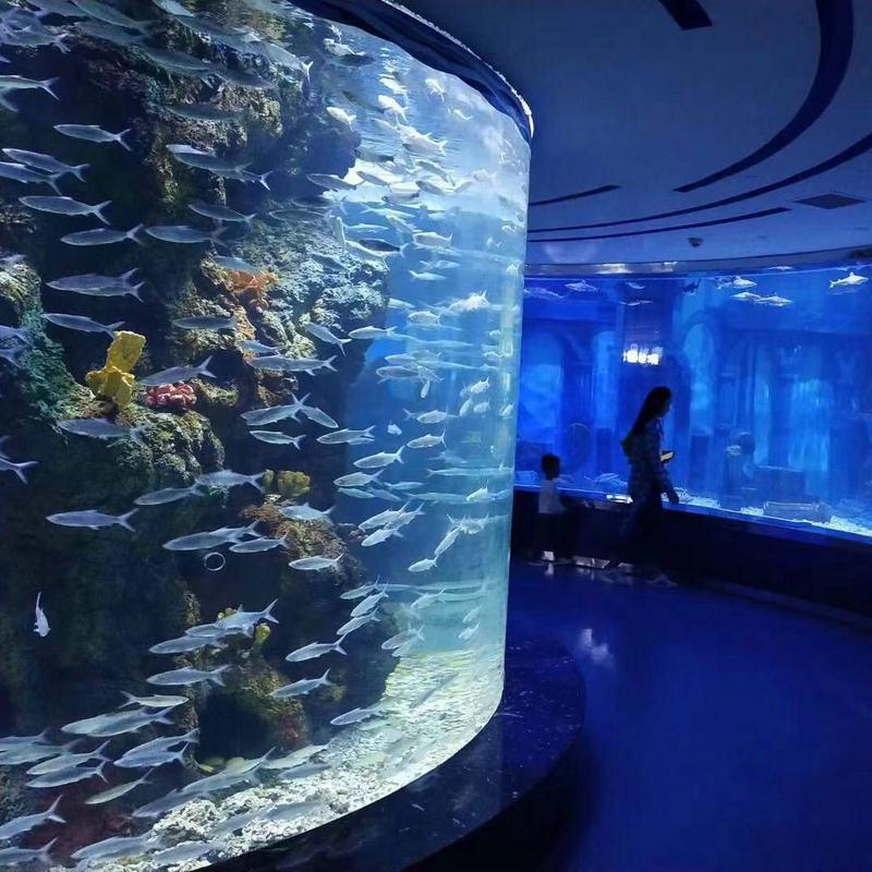 海洋馆设计超大型世界海洋工程亚克力有机玻璃海水鱼缸大型