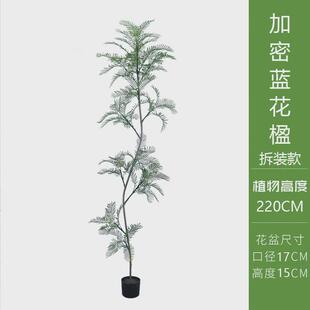 仿真蓝花楹客厅大型落地植物装饰盆栽摆件室内轻奢绿植仿生花假树