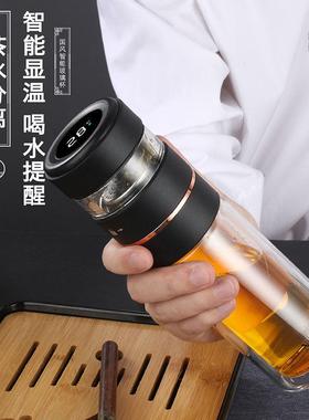 NIKOLAY泡茶大师玻璃杯双层透明玻璃水杯茶水分离耐热高硼硅智能
