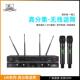专业U段真分集无线话筒音箱一拖二娱乐演讲调频麦克风音频设备