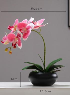 新中式创意仿真花摆件客厅餐桌茶几陶瓷盆栽假花艺蝴蝶兰装饰品