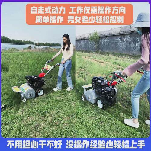 自走式果园碎草机家用打草开荒除草汽油割草机新款小型碎草割草机