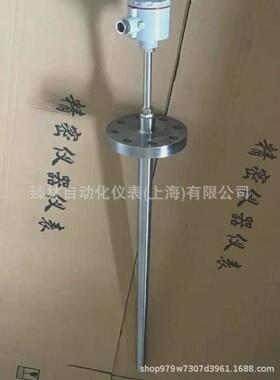 WREN-430耐磨热电偶WRN2-430M耐磨阻漏热电偶