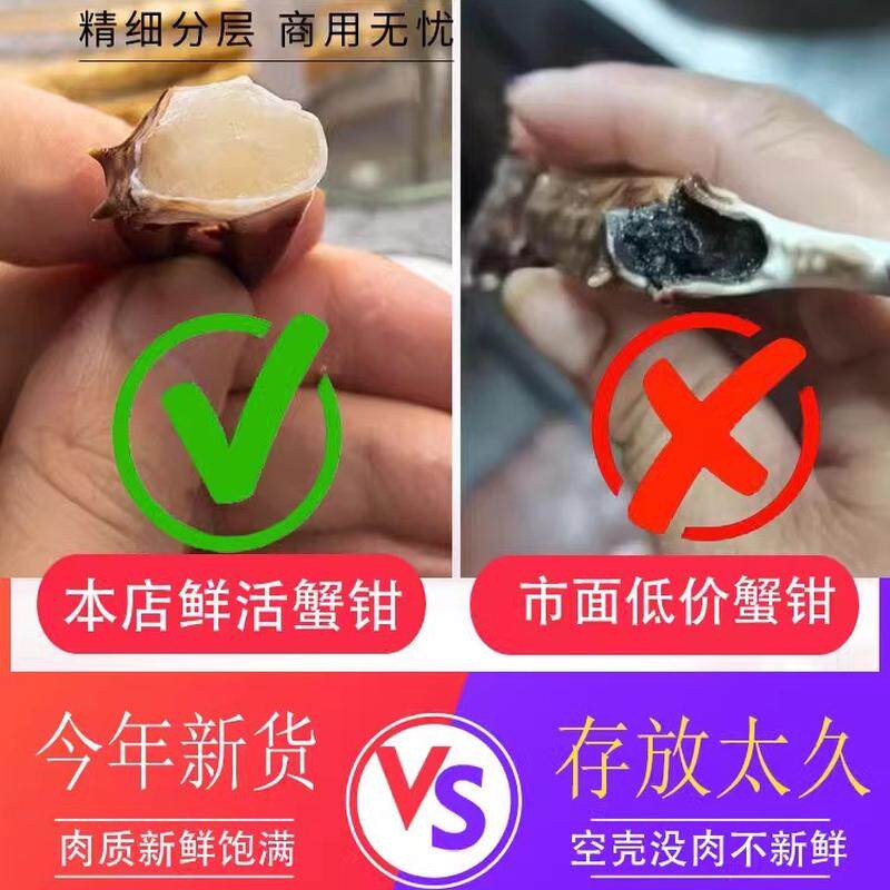 xc蟹脚钳冷冻蟹腿梭子蟹脚螃蟹腿梭子蟹钳螃蟹脚梭子蟹腿蟹钳生鲜