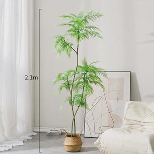 新款蓝花楹仿真绿植落地盆栽仿生植物摆件室内客厅沙发旁装饰树