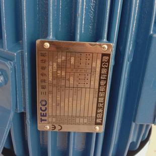 刹车马达0.75kw东元 三相异步电动立式 东莞出货 铸铁马法兰按装 东元
