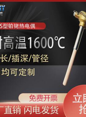 swrp铂铑热电偶型-130wrp-131高温0-13001600度刚玉管热电偶