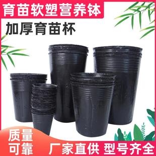黑色加厚育苗袋营养植物袋育苗杯pe塑料育苗盘种植园艺育苗盆批发