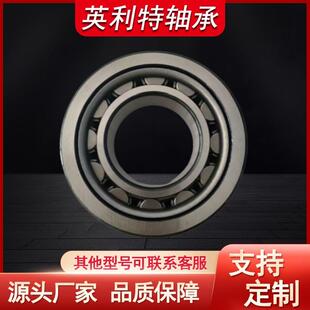 圆柱滚子轴承sl05020sl06020nnc4938nnu49/560