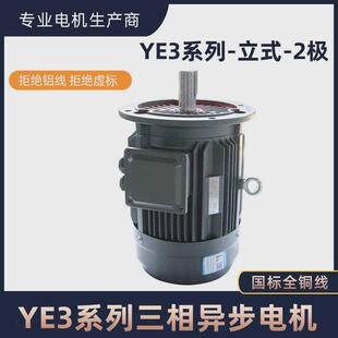 电机河北厂家大量销售ye3 90kw三相异步电机 2极2.2