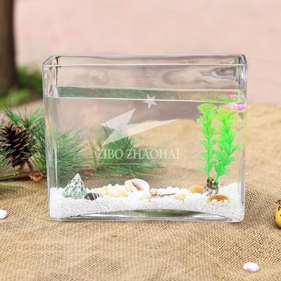 热销超白厚实小型鱼缸玻璃长方形透明水族箱桌面创意水培植物容器