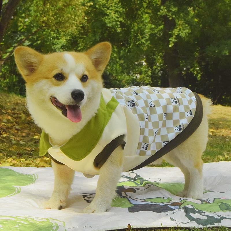 柯基柴犬泰迪比熊狗狗衣服加绒保暖秋冬天2024新款可牵引熊猫卫衣