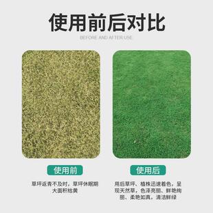 草坪增着色剂剂草皮枯草染绿剂草衣绿化植物染色绿一喷就绿不伤草