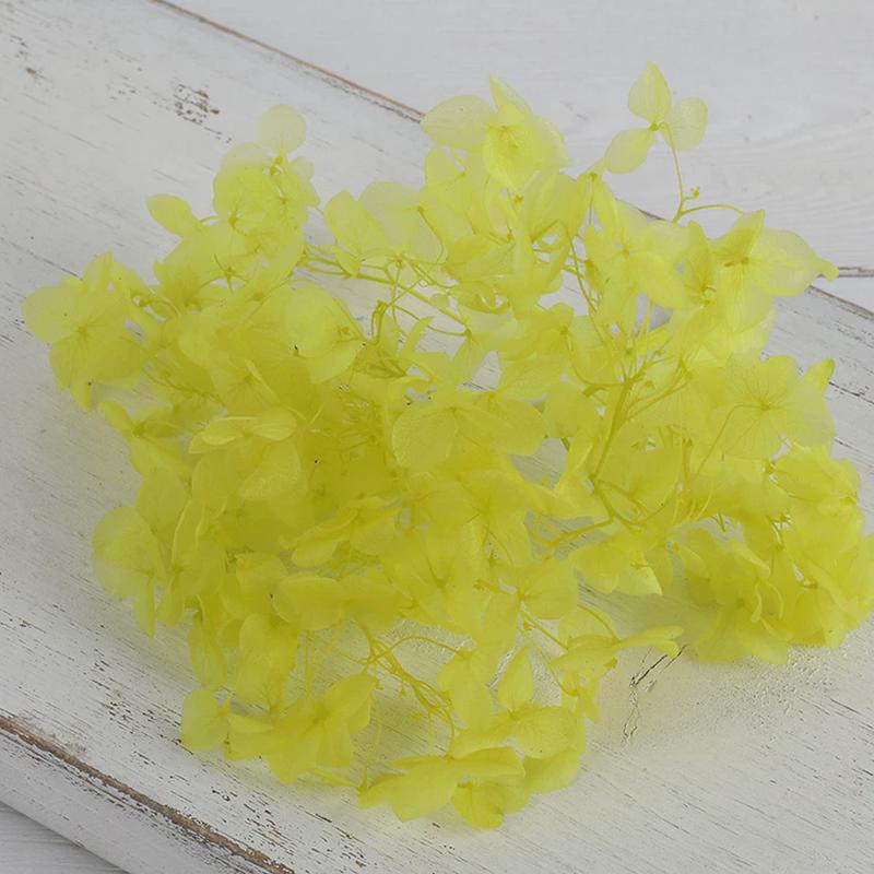 绣球花瓣包花永生材料绣球花滴胶制作工艺制作伴手干花材料diy