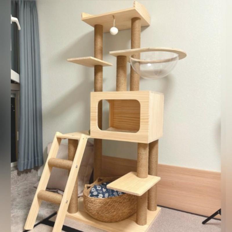 猫爬架实木大型全实木猫窝猫树一体实木柱缅因大猫矮脚猫架子家用图片