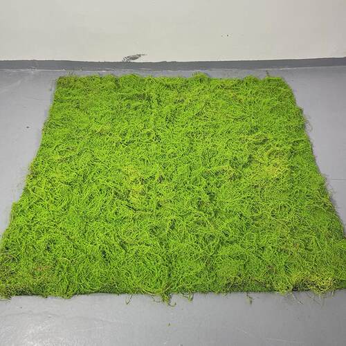 仿真青苔草皮仿真棕丝两色草皮青苔景观装饰苔藓草皮