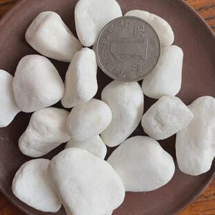 白色鹅卵石碎雪花白盆栽装饰白石子鹅卵石园艺庭院造景白色砾石