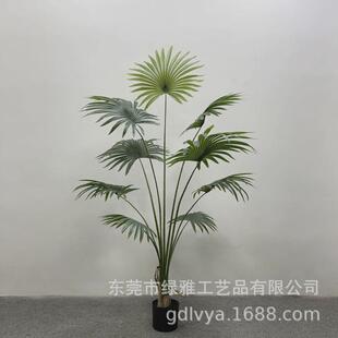 葵大型仿真绿植加州蒲葵扇热带唐棕葵大型假树软装造景装饰