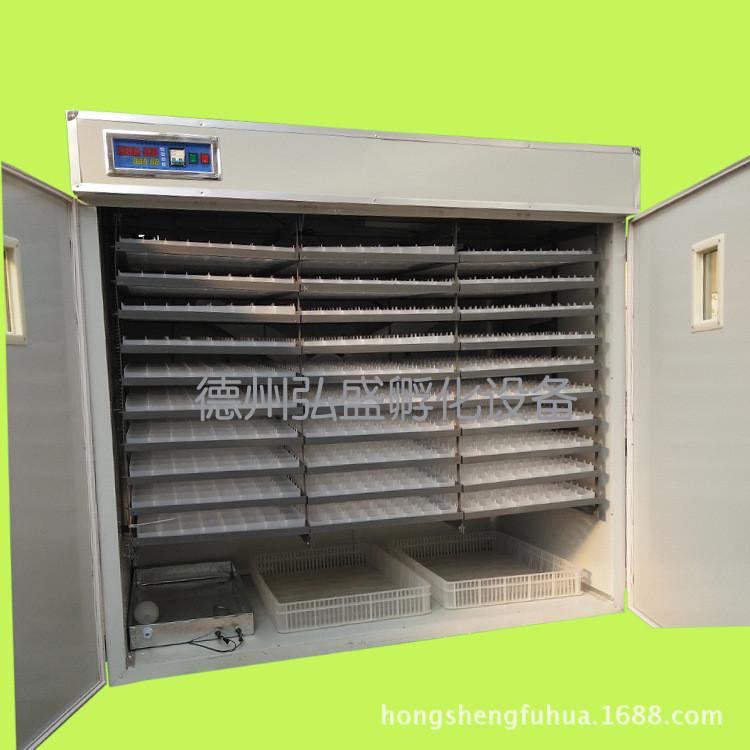 弘盛5280枚全自动鸡蛋孵化机鸡苗孵化器鹅蛋孵蛋器鸽子孵化箱设备