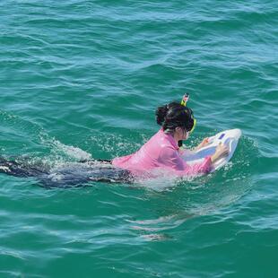 厂家直销智能娱乐电动浮板游泳趴板推进器尾冲浪板力波动划水板