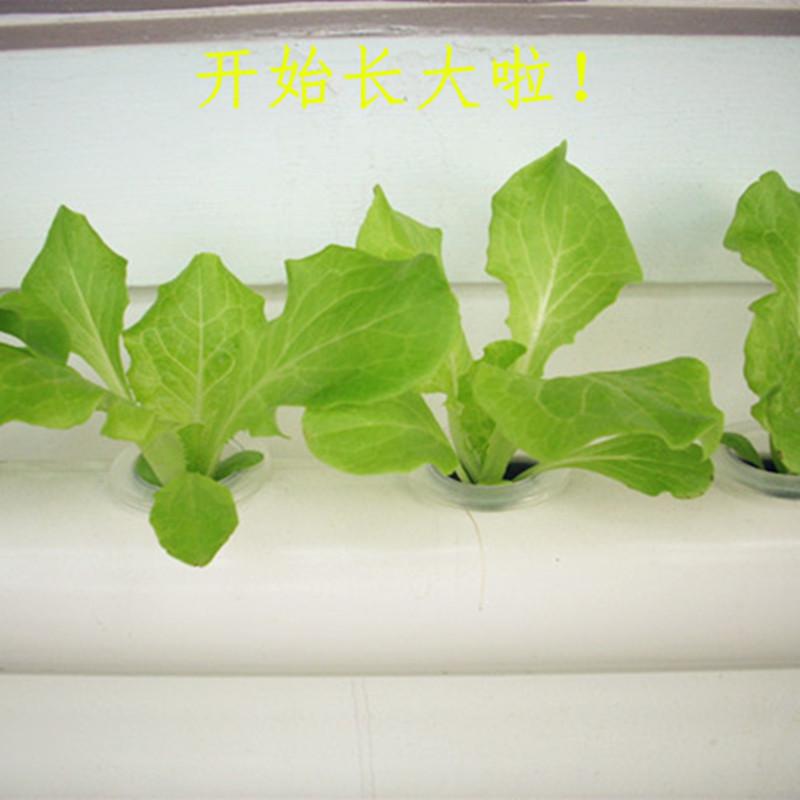 供应立体花架水培蔬菜无土栽培管道阳台种植机花盆架子