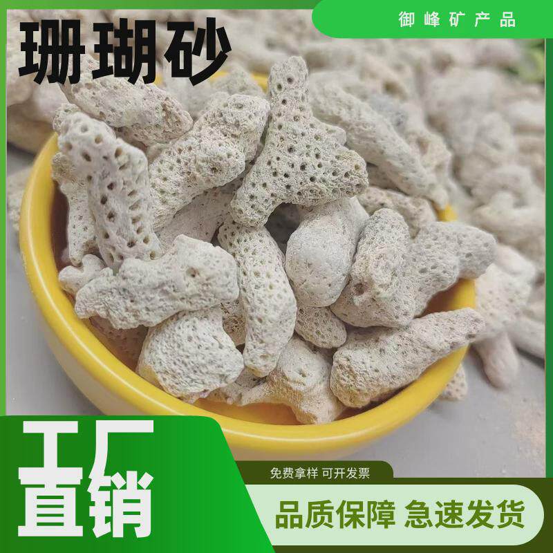 工厂直供处理砂珊瑚骨水珊瑚鱼缸造景水族鱼池过滤各种规格齐全