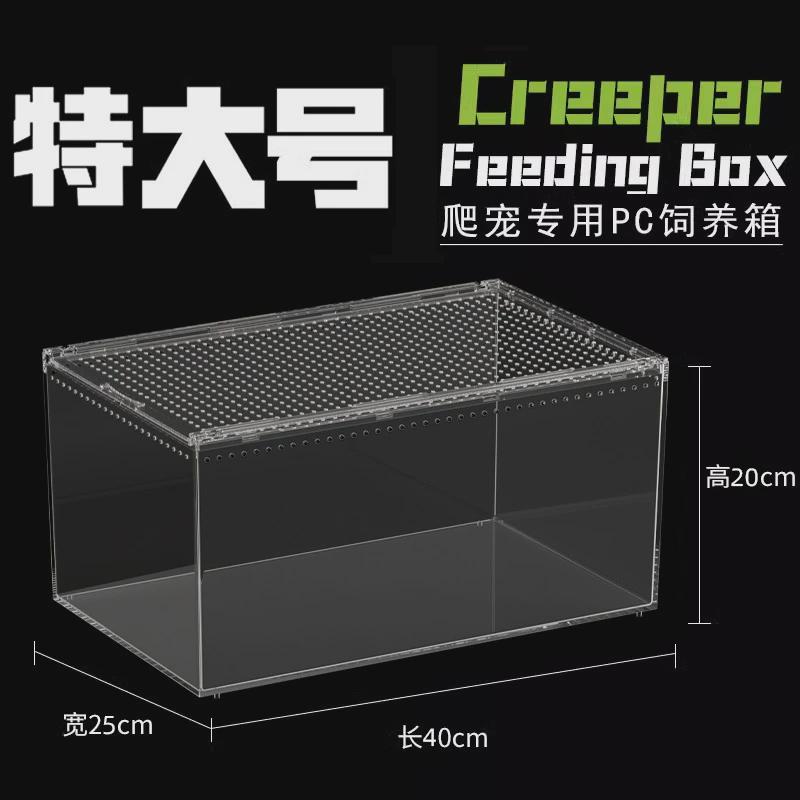 pc塑料爬宠特大号饲养箱生态沙漠蛙宠物蛇树栖角造景乌龟水陆缸