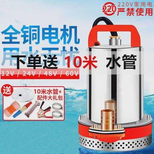 德国进口直流潜水泵12V24V48V60V伏家用电瓶车抽水泵小型电动车农
