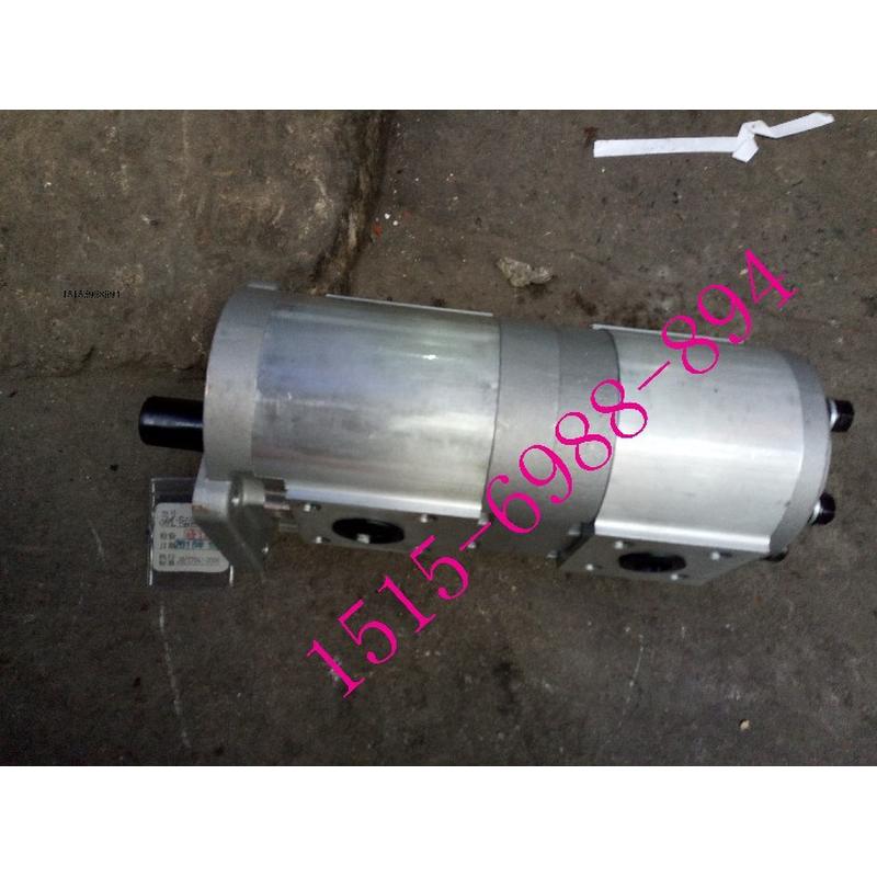 合肥赛源液压双联齿轮油泵CBQT-F550/F425-AFH6L AFPL液压油泵