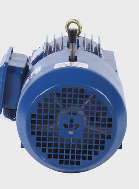 厂家定制2极YEJ电磁制动电机0.75千瓦-90千瓦电动机380V异步电机