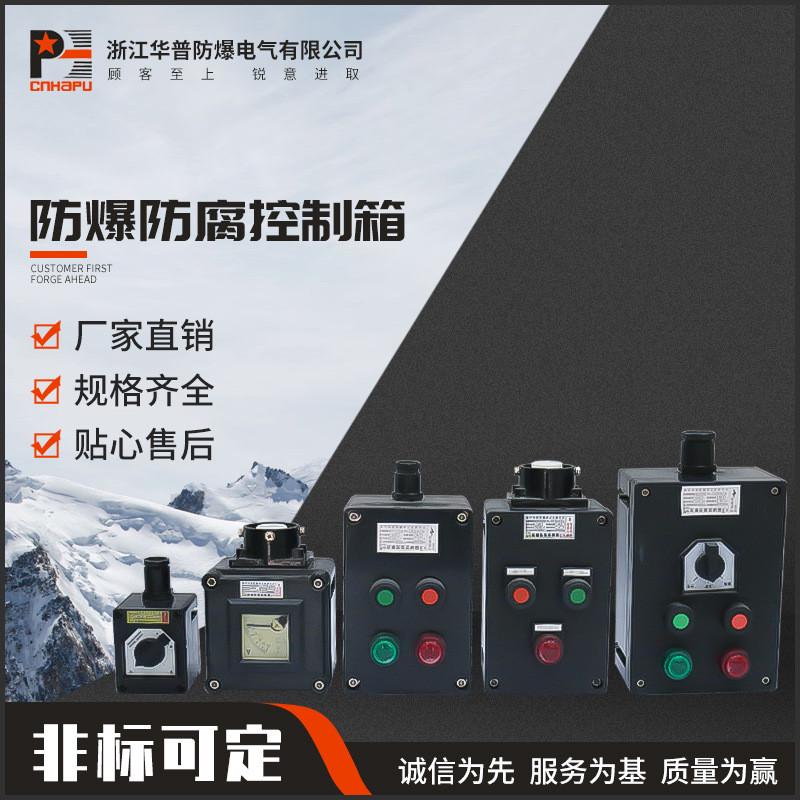 厂家供应防爆接线按钮控制箱 防爆防腐控制箱 防爆电机启停按钮箱