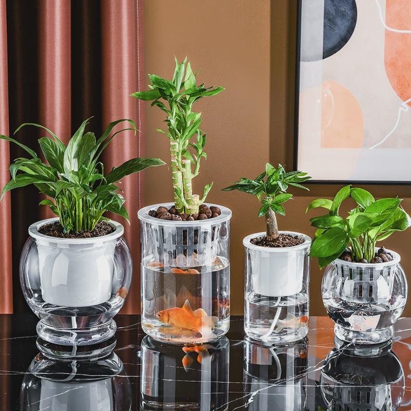 办公室桌面生态缸造景小型观赏鱼缸家用球形水培植物小金鱼缸摆件