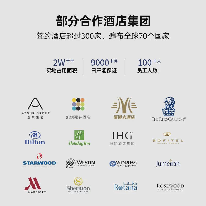 定做五星级酒店羽绒床垫褥子保护垫白鹅绒白鸭绒加厚垫子软垫定制