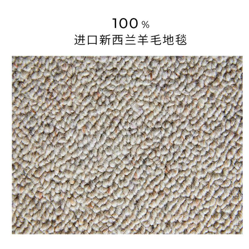 纯羊毛奶油风客厅沙发茶几纯色简约家用地毯床边地垫大面积耐脏子