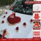 婚车装 仿真花车车头拉花吸盘结婚用品主副车车队人偶送副车 饰套装