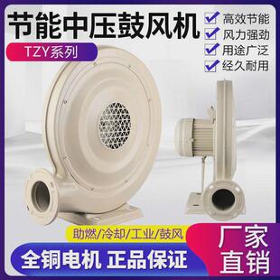 tzy250w550w750w厨房离心式炉灶风机鼓风机中压锅炉220v380v