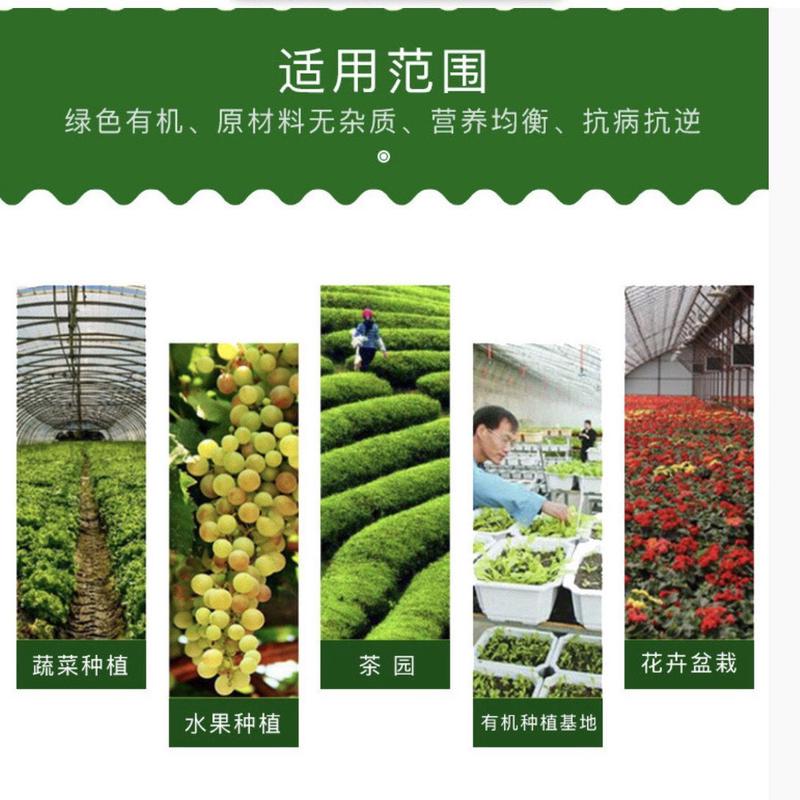 酶海藻精高含量45%有促生长壮苗增产水溶肥绿色解生根剂海藻精