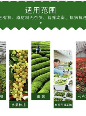 绿色海藻有高含量45%精促生长壮苗增产水溶肥酶解生根剂海藻精