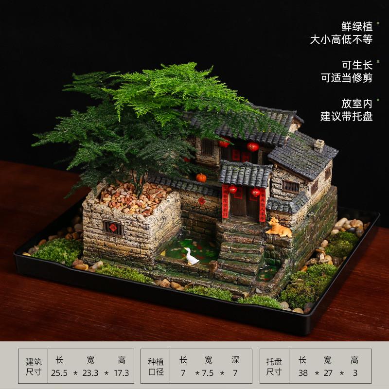 9qxc桌面微景观造景植物盆景办公室复古房子模型摆件怀旧装饰品老