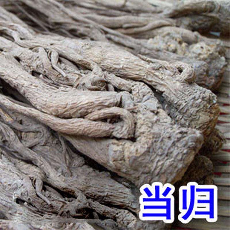 农家收购当归250g包邮本色无硫当归种子可配党参黄芪当归片全当归