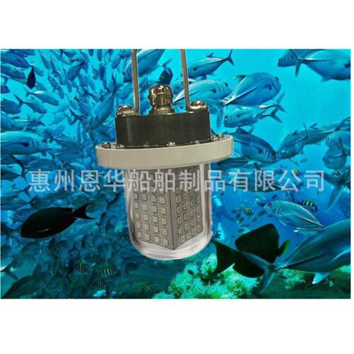 外贸出口灯珠水下钓鱼灯集鱼灯水底灯60led12v24vdv