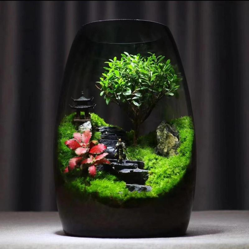 k1植物生态桌面创意盆栽好养摆件绿植盆景苔藓办公室造景景观