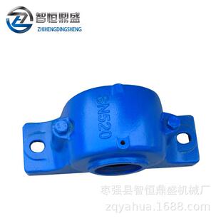 轴承瓦盒sn313铸铁轴承座外球面轴承座 sn非标轴承座sn520立式