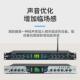 100声音专业增益美化激励器前级效果器音频舞台话筒人声处理器