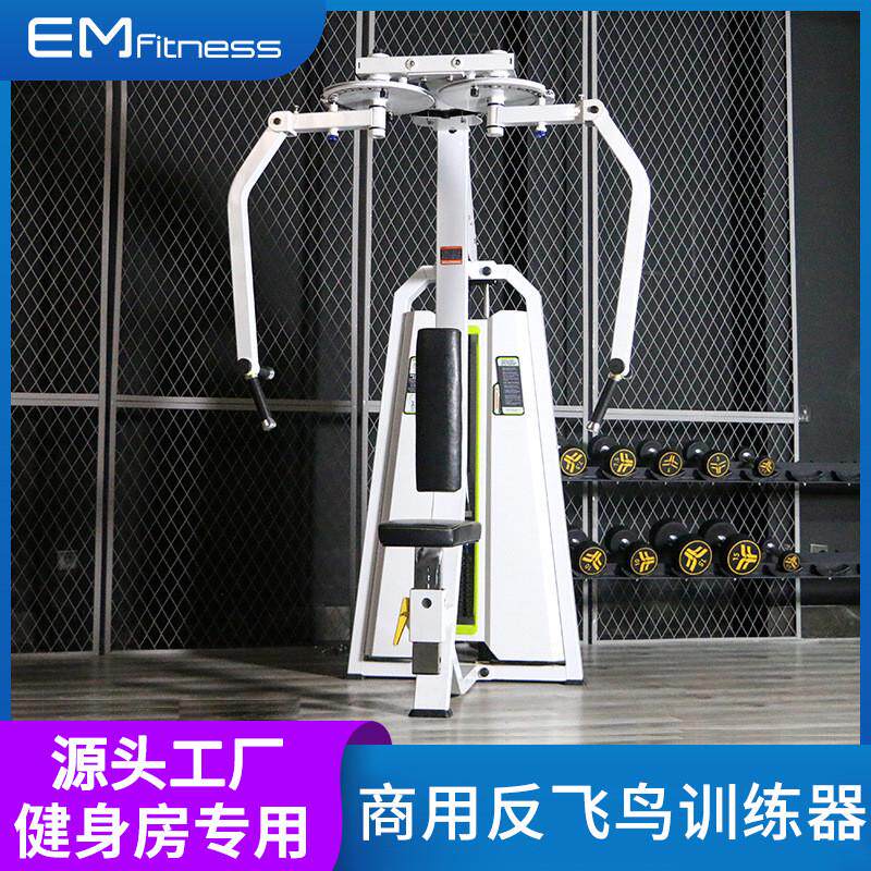 坐姿反飞鸟训练器健身房商用直臂夹胸训练器综合力量器械厂家