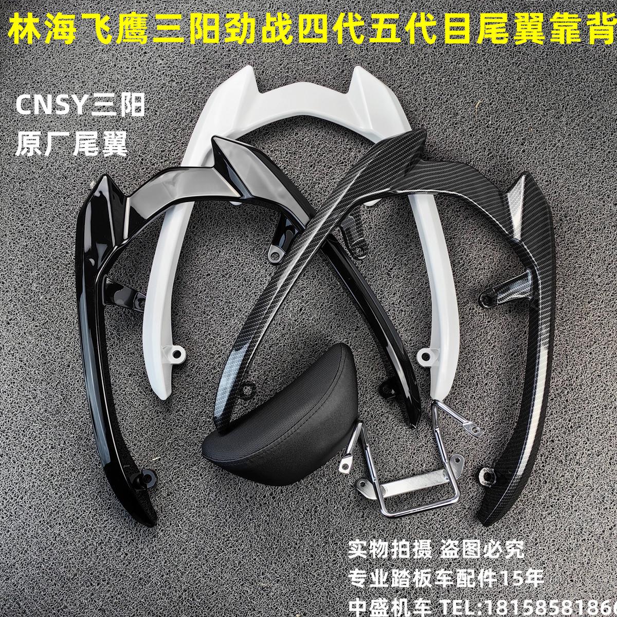 CNSY三阳F1飞鹰林海劲战四代目摩托车后货架油改电后扶手靠背尾翼